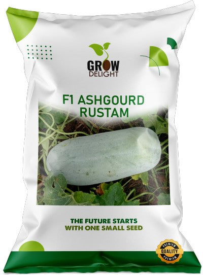 Ash Gourd F1 Rustam