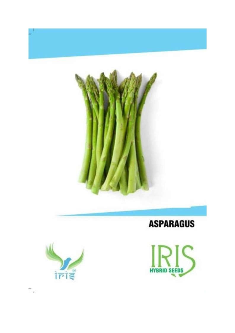Iris Imported Asparagus