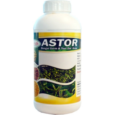 Astor