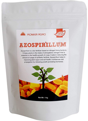 Azospirillum - Nitrogen Fixing Bacteria 1 Kg