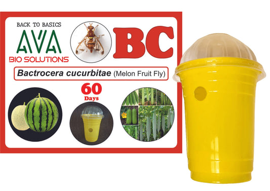 Ava Combo Pack of Glass Pheromone Trap + BC Lure