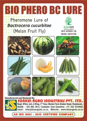 Combo Pack of Bio Phero BC (Melon Fruit Fly) Lure & Glass trap set (Pack of 10 Pieces)