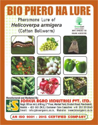 Combo Pack of Bio Phero HA (Cotton Bollworm) Lure & Funnel trap set (Pack of 10 Pieces)