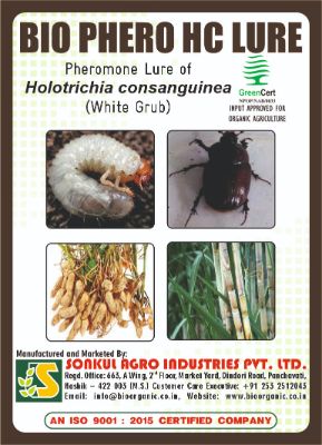 Combo Pack of Bio Phero HC Lure & Water trap set (Pack of 5 Pieces)