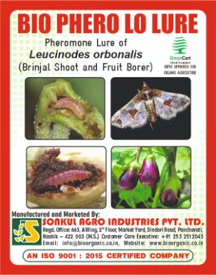 Combo Pack of Bio Phero LO (Brinjal Shoot and Fruit Borer) Lure & Delta trap set (Pack of 10 Pieces)
