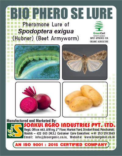 Combo Pack of Bio Phero SE Lure & Funnel trap set (Pack of 10 Pieces)