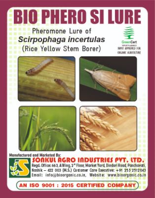 Combo Pack of Bio Phero SI (Rice Yellow Stem Borer) Lure & Funnel trap set (Pack of 10 Pieces)