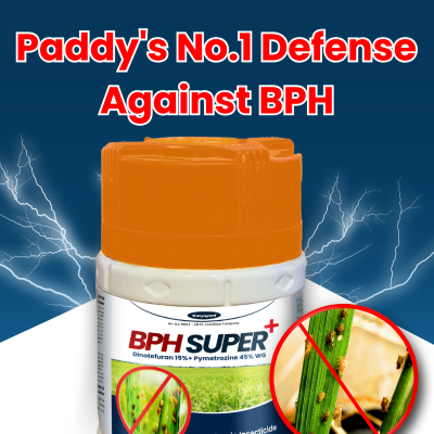 Katyayani BPH Super+ - Dinotefuran 15% + Pymetrozine 45% WG