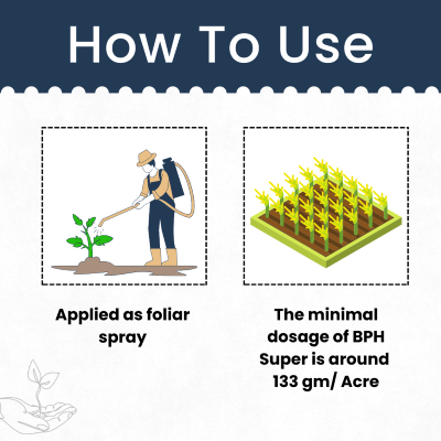 Katyayani BPH Super+ - Dinotefuran 15% + Pymetrozine 45% WG