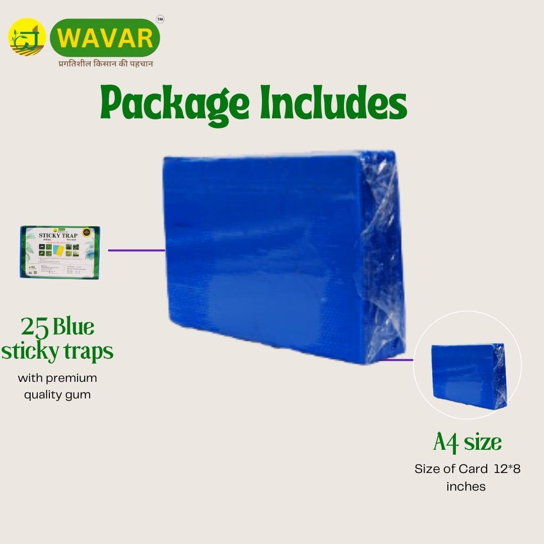 Wavar Blue Sticky Trap for Pest, Thrips, Aphids, Leaf Miner, Jassids, & All Harmful Flying Insects  25 sheet in bundle
