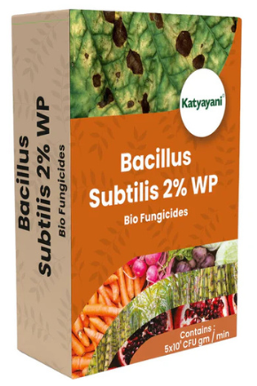Katyayani Bacillus Subtilis 2% WP | Powder Bio Fungicide