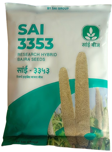 PearlMillet / Bajra Sai-3353