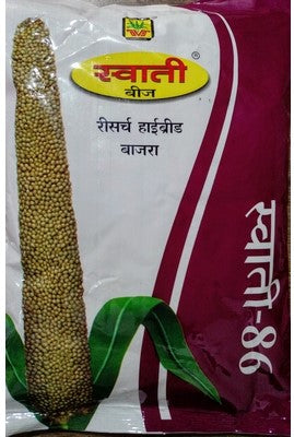 PearlMillet / Bajra Swati No-86