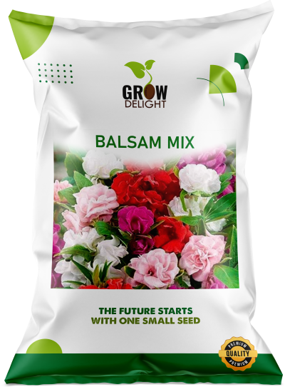 Grow Delight Imported Balsam Mix - 300 seeds