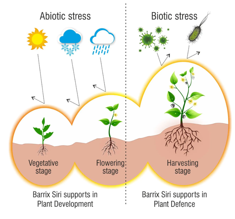 Barrix Siri – Nutrient Fertilizer