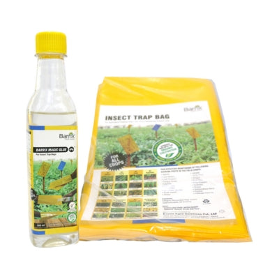 Barrix Magic Glue (With 40 covers)