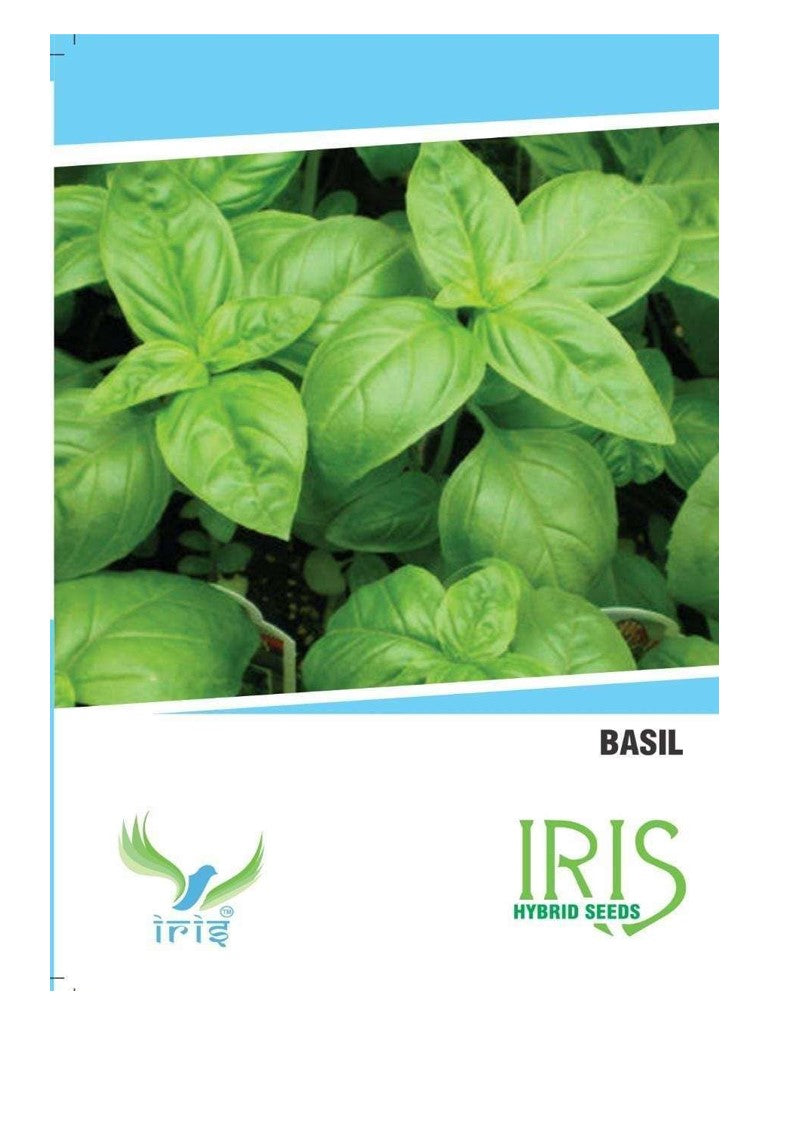 Iris Imported Basil