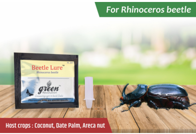 Beetle Lure / Rhinoceros Beetle Pheromone Lure