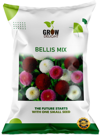 Grow Delight Imported Bellis Mix - 600 seeds