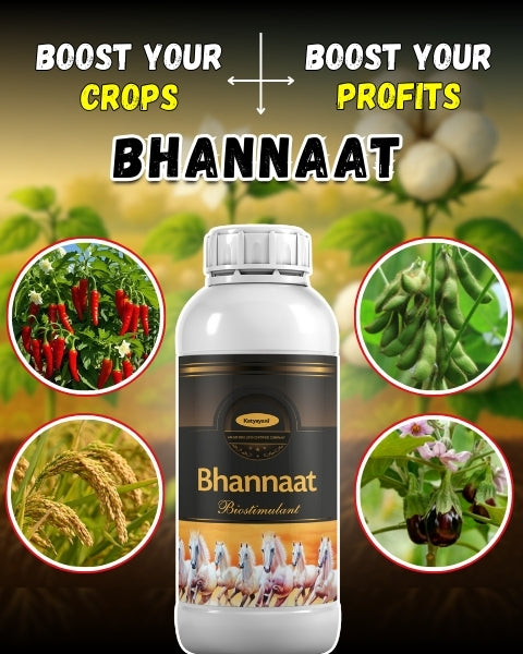 Katyayani Bhannat Biostimulant