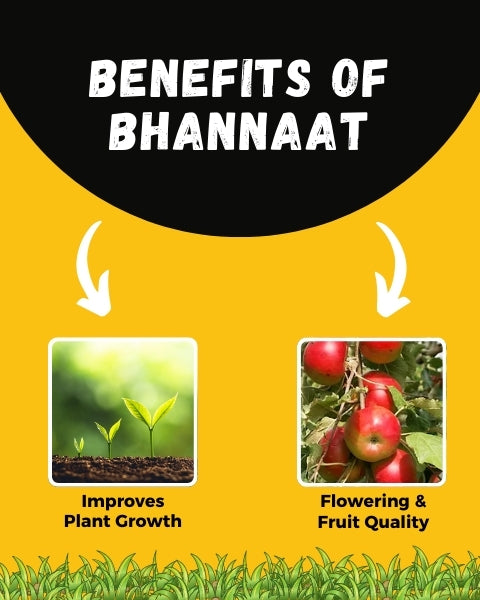 Katyayani Bhannat Biostimulant