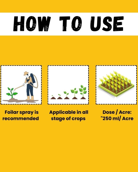 Katyayani Bhannat Biostimulant