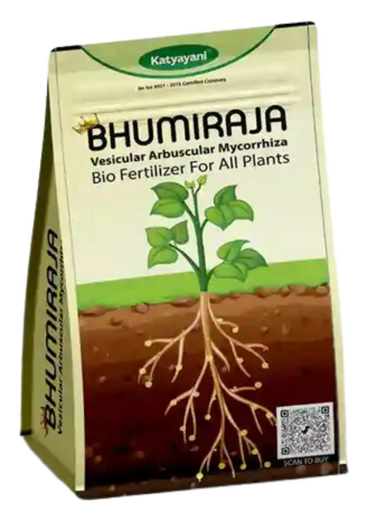 Katyayani Bhumiraja | Mycorrhiza | Bio Fertilizer