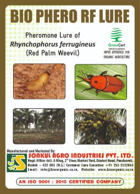 Combo Pack of Bio Phero RF (Red Palm Weevil) Lure & Bucket trap set (Pack of 5 Pieces)