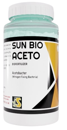 Sonkul Sun Bio Aceto - Acetobacter 200 grams