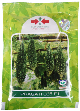BitterGourd / Karela Pragati 065