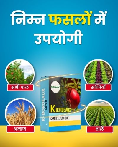 Katyayani Copper Sulphate 3.0% + Calcium 0.6% (950 gramsx1)