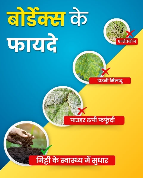 Katyayani Copper Sulphate 3.0% + Calcium 0.6% (950 gramsx1)