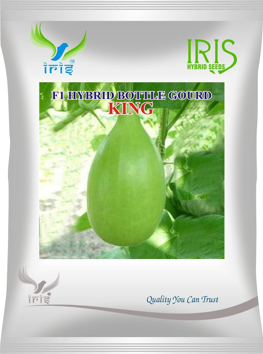 BottleGourd / Lauki F1 Iris King 20 grams