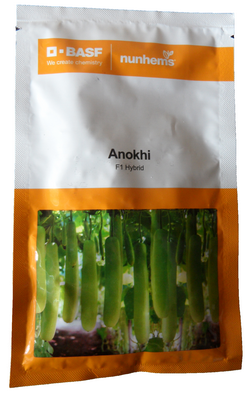 BottleGourd / Lauki Anokhi