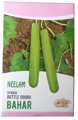 Bottlegourd / Lauki Neelam Bahar