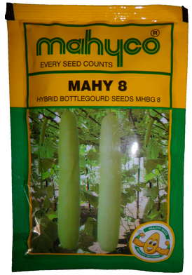 BottleGourd / Lauki MHBG-8