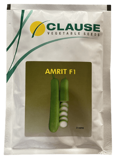 BottleGourd / Lauki F1 Amrit