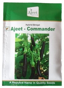 Brinjal Ajeet Commander