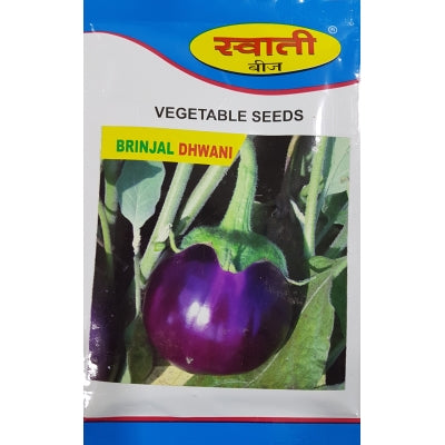Brinjal Dhwani