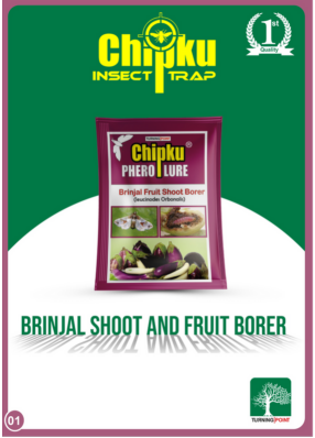 Chipku Brinjal Fruit & Shoot Borer Lure