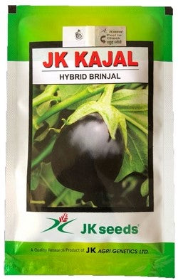 Brinjal JK Kajal