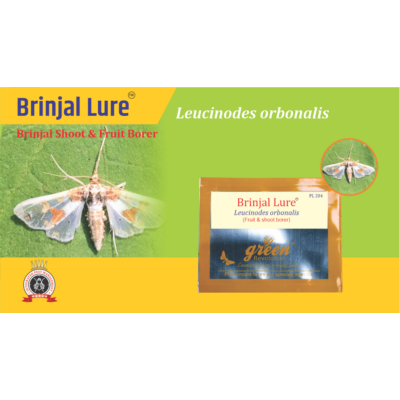 Brinjal Pheromone Lure for Brinjal Fruit & Shoot Borer
