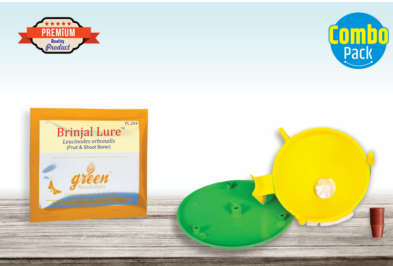 Combo Pack of Funnel Pheromone Trap + Brinjal Pheromone Lure (for Brinjal Fruit & Shoot Borer)