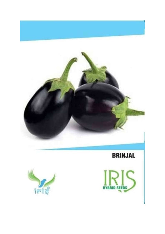 Iris F1 Brinjal Round 30 Seeds