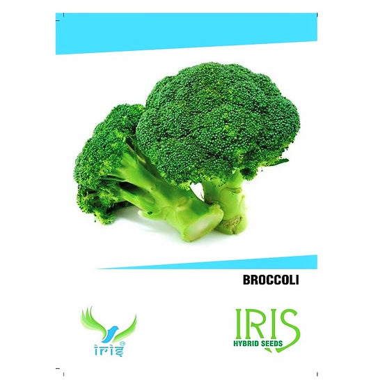 Iris F1 Broccoli 15 Seeds