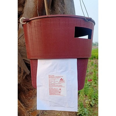 Chipku-Bucket Trap for Red Palm Weevil