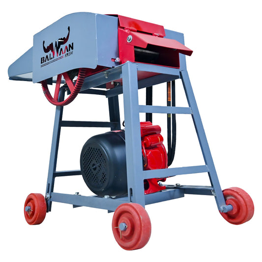 Balwaan Krishi Chaff Cutter with 2HP Motor CH-120