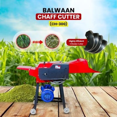 Balwaan Chaff Cutter with 3 HP Motor & Gear CH-300