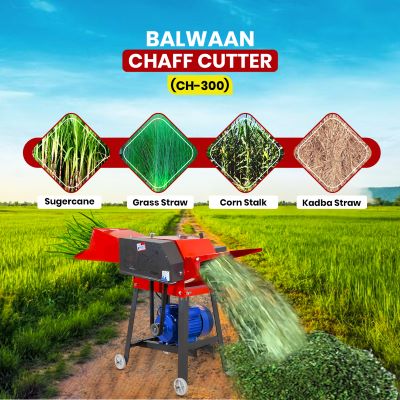 Balwaan Chaff Cutter with 3 HP Motor & Gear CH-300