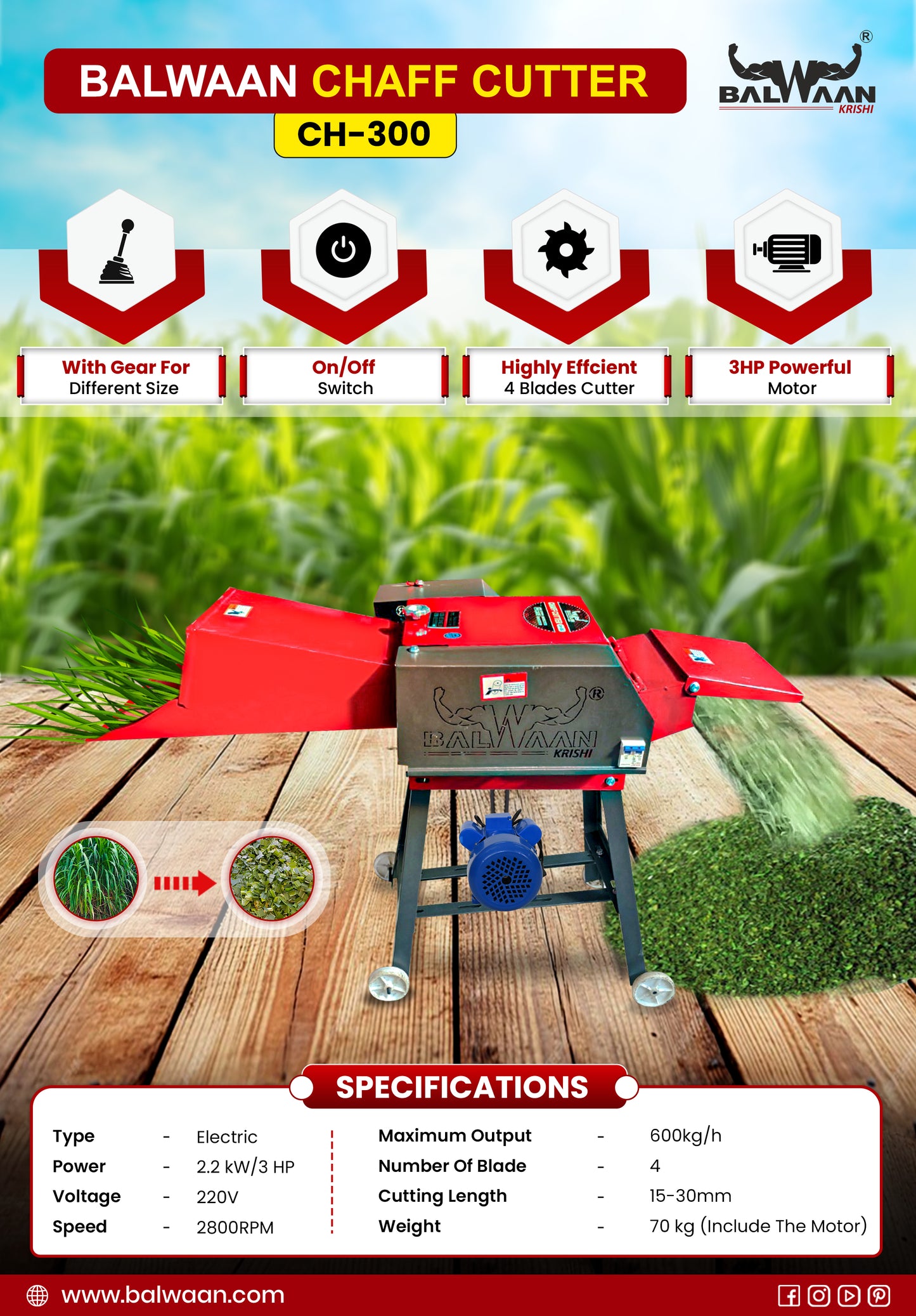 Balwaan Chaff Cutter with 3 HP Motor & Gear CH-300